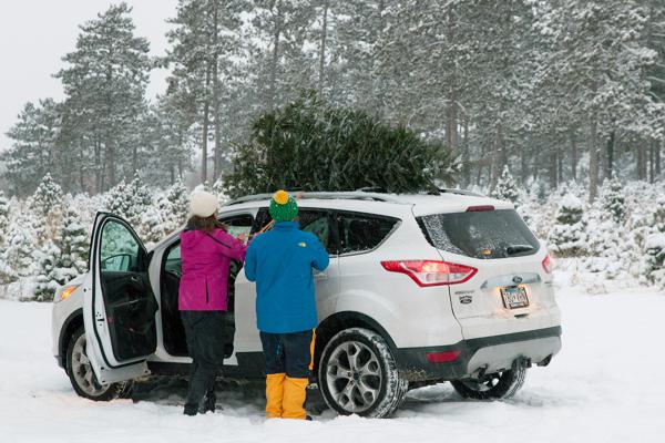 We can help you get your tree onto your car