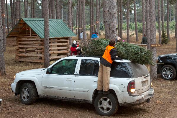 Securely load your tree