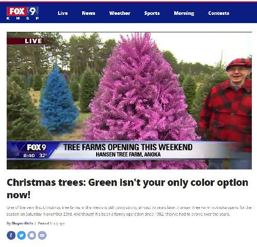 Hansen Tree Farm Colored Christmas Trees