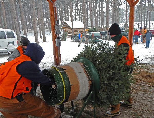 Chrismtas Tree baler